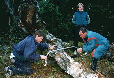 photo01ab.jpg (28101 bytes)