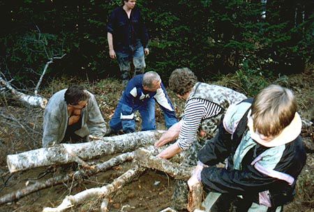 photo01ab.jpg (28101 bytes)